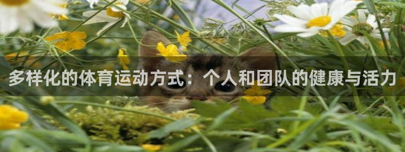 斗体育投屏版：多样化的体育运动方式：个人和团队的健康与活力