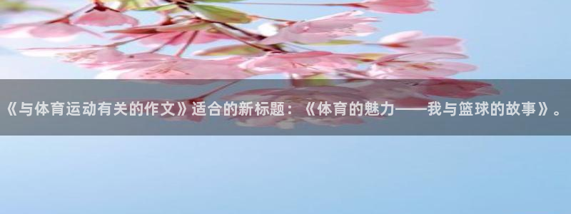 斗体育vip官网入口
