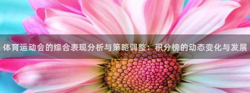斗体育vip网页版登录：体育运动会的综合表现分析与策略调整：积分榜的动态变化与发展
