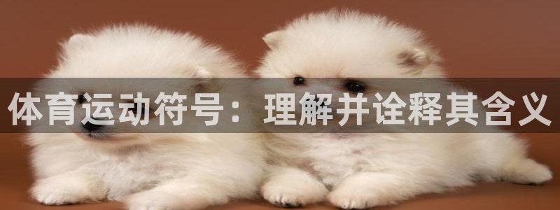 斗体育在线直播