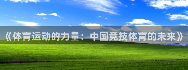 斗体育百科