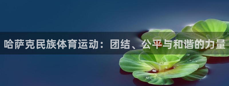 斗体育：哈萨克民族体育运动：团结、公平与和谐的力量